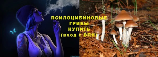мяу мяу кристалл Магас